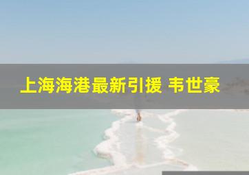 上海海港最新引援 韦世豪